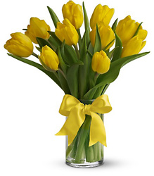Sunny Yellow Tulips from Backstage Florist in Richardson, Texas